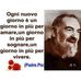Profile Picture of Alberto Occhipinti (@alberto.occhipinti.5203) on Facebook