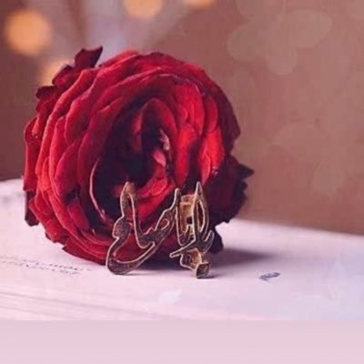 Mina Nazari - Twitter Profile Picture of Mina Nazari (@Minanazari181) on Twitter