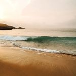 Profile Picture of STEFFI 🌾 l herz & naturmensch (@stefaniereichelphotography) on Instagram