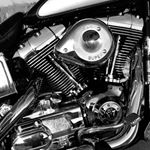 Profile Picture of Tommy Lipscomb (@tommy_lipscomb_jr) on Instagram