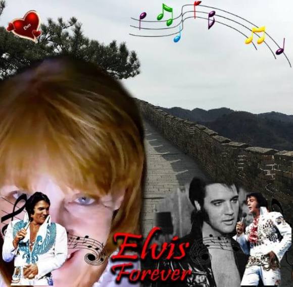 Profile Picture of Nancy Hynst (@nancyhynst) on Poshmark