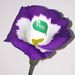 Profile Picture of Ackroyd Dennis (@ackroyddennis) on Pinterest
