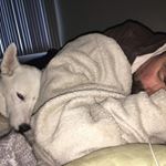 Profile Picture of Andy Meredith (@busterdawg17) on Instagram