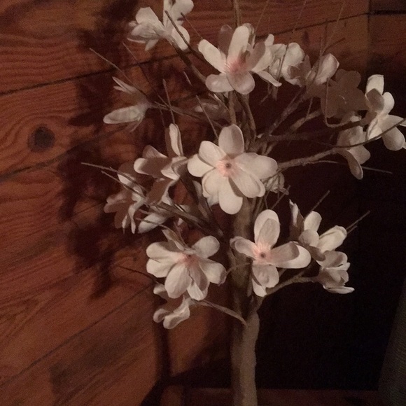 Profile Picture of Linda Swanson (@farms3) on Poshmark