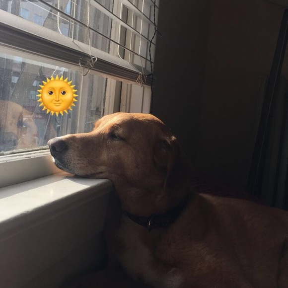 Profile Picture of A Farnum (@adafarnu) on Poshmark