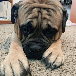 Profile Picture of Matt Knake (@Matt-Knake) on Facebook