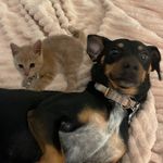 Profile Picture of Levi & Gemma🦋 (@levi.and.gemma) on Instagram