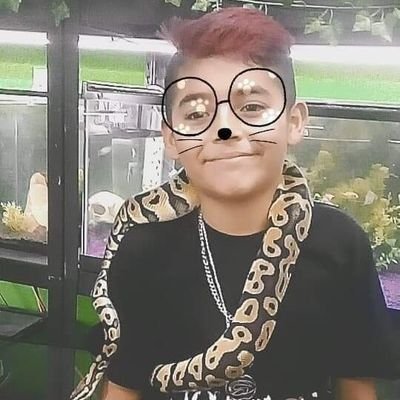 Profile Picture of DANIEL_LEDEZMA (@DANIELL06163623) on Twitter