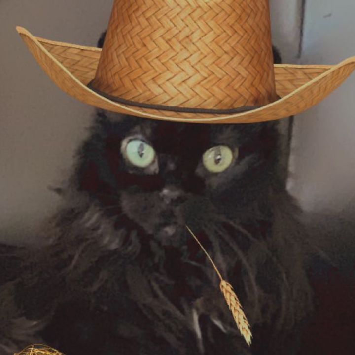 Profile Picture of Brett Messman (@@brettmessman) on Tiktok