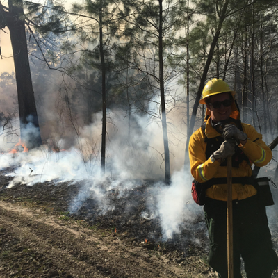 Profile Picture of Ditchwater Sal (@MarkHerring3) on Twitter