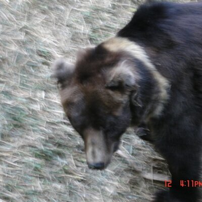 Profile Picture of FABIAN OLARTE (@OLARTEFABIAN) on Twitter