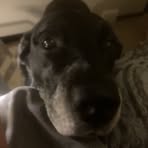 Profile Picture of Matthew Matlock (@matthew.matlock.93571) on Facebook