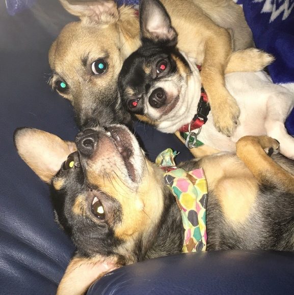 Profile Picture of Mary Lottman (@mary6449) on Poshmark