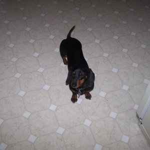 Profile Picture of joseph (@josephdarling911) on Myspace