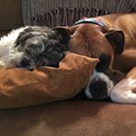 Profile Picture of Furlongdan (@danny_furlong) on Instagram