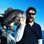 Profile Picture of Joshua Siegell (@matzaman3birds) on Instagram