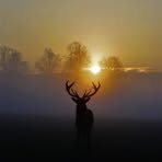 Profile Picture of Massoud Esmaeili (@Massoud-Esmaeili) on Facebook