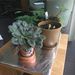 Profile Picture of Jacob Schap (@jacobschaperow) on Pinterest