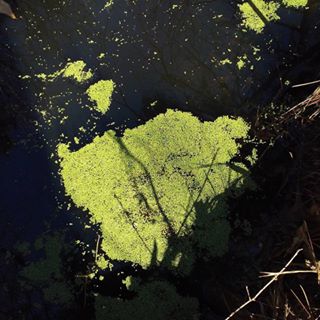 Profile Picture of Kenneth Gainey (@kenneth.gainey.9) on Facebook