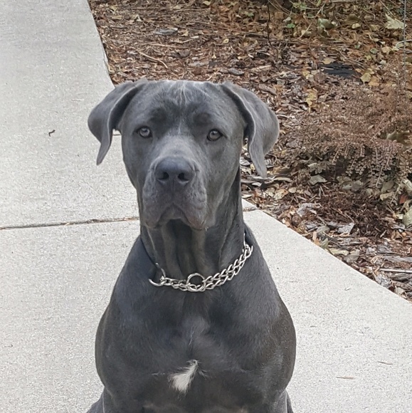 Profile Picture of Demond Richardson (@demond1623) on Poshmark