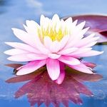 Vickie Kovar - Instagram Profile Picture of Vickie Kovar (@rolfingfascia) on Instagram