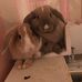 Profile Picture of Chris Wester (@chris.wester.1656) on Facebook