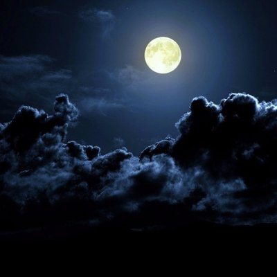 Profile Picture of Alexander Novoa (@JONI_NOVOA) on Twitter