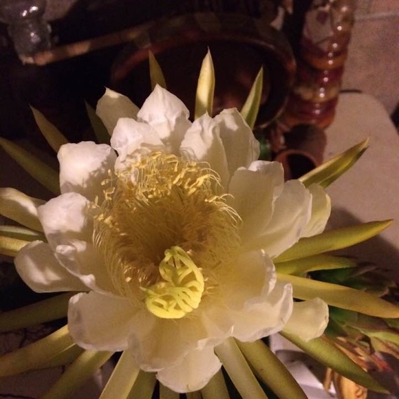 Profile Picture of Bobbie Groger (@weatherbys1953) on Poshmark