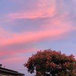 Profile Picture of skylee☁️ (@skyle.e) on Instagram