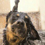 Profile Picture of john (@jschaap22) on Instagram