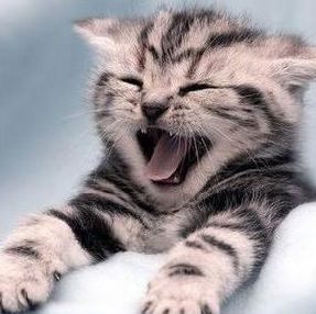 Profile Picture of Dee Ball (@dee.ball.771) on Facebook