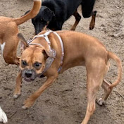 Profile Picture of Jared Cain (@jaredcain) on Youtube