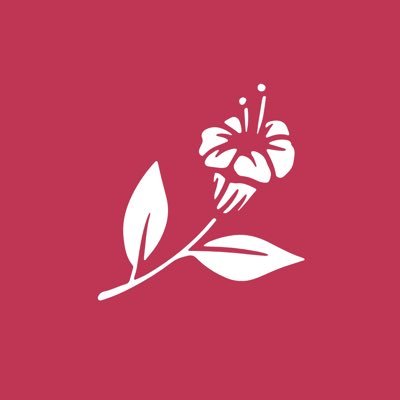 Profile Picture of Paula Anders (@paulaanderscom) on Twitter