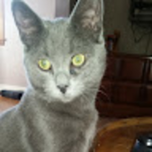 Profile Picture of Danielle Antonson (@daniantonson) on Poshmark