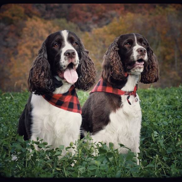 Stacy Broadbent - Poshmark Profile Picture of Stacy Broadbent (@broadbent1989) on Poshmark