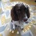 Profile Picture of Bernadette Poppy Pitman (Poppy) (@bernadette.pitman.739) on Facebook