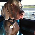 Profile Picture of Chip Andrews (@andrews.chip) on Instagram