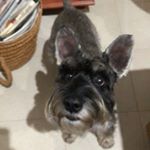 Profile Picture of Héctor Flecha (@hflecha86) on Instagram