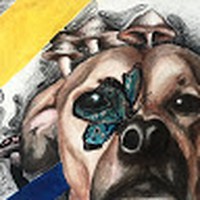 Profile Picture of Kylee Novicki (@kylee-novicki) on Quora