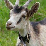 Profile Picture of Anita Hauser (@anita.hauser.9066) on Instagram