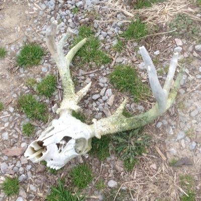 Profile Picture of Jason Fudge (@jasonfudge1972) on Twitter