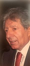 Profile Picture of Ameen Albert Rihanion Wikipedia