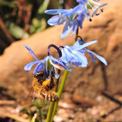 Profile Picture of Travis Owen (@travisowen8841) on Youtube