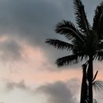 Profile Picture of Kiera Reid (@kierareid90) on Instagram