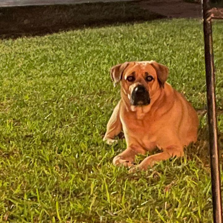 Profile Picture of Jeff Malone (@jeffmslone) on Tiktok