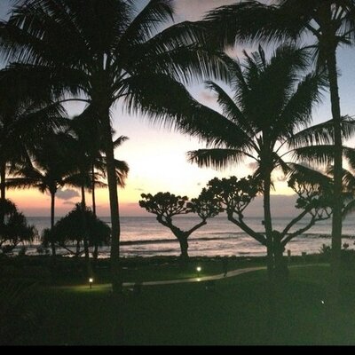 Profile Picture of Kim Pool (@kimpoolmusic) on Twitter