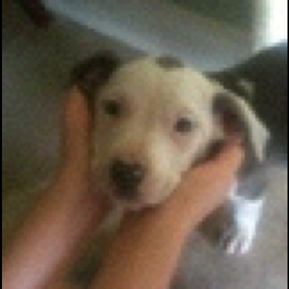 Profile Picture of Alex Oviedo (@alexoviedo) on Poshmark