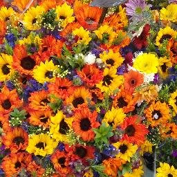 Laura S Lytle - Twitter Profile Picture of Laura S Lytle (@lslytle) on Twitter