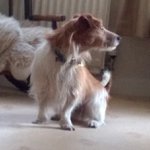 Profile Picture of Beth Baldwin (@beth123baldwinxx) on Instagram