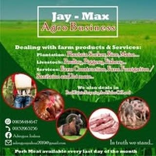 Profile Picture of Joshua Adeogun (@adeogun.joshua) on Instagram